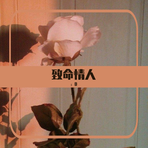 致命情人（对比版）