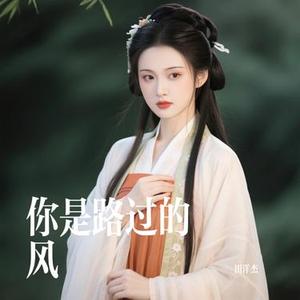 你是路过的风 (Cover 林三七)