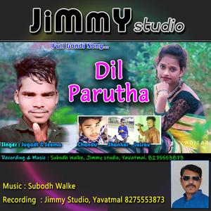 Dil Parutha Gondi Song (feat. Subodh Walke & Kursenga Jugdhi)