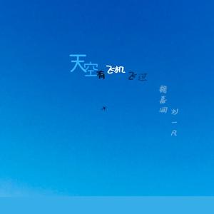 天空有飞机飞过