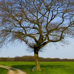 意大利面拌42号混凝土