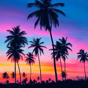 程响 - 出卖我（DjCore Remix）Tropical House