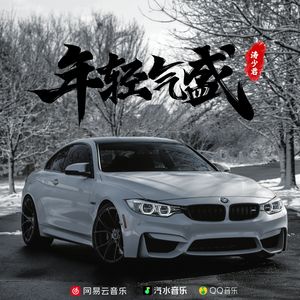 爱得那么认真 (DJ咚鼓版)（涛少君 remix）