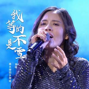 我等的不是雪 (DJ默涵版)