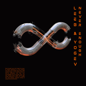 Never Enough (Radio Edit)