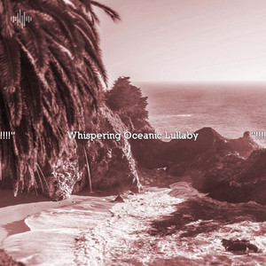 Soothing Rhythms of the Sea