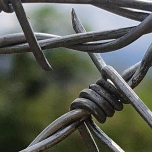 uhhh...... (っ╥╯﹏╰╥c)