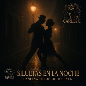 Siluetas en la Noche