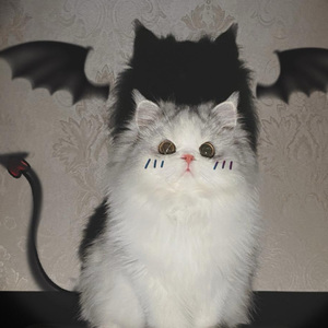 一生一世等一天需要代价