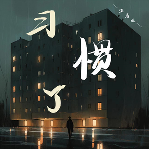 习惯了（DJ版）