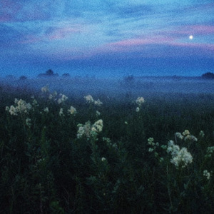 when the nights kicks in