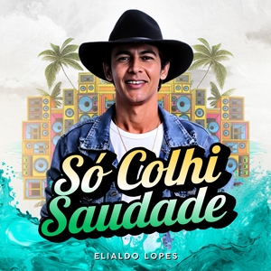 Só Colhi Saudade (Live)