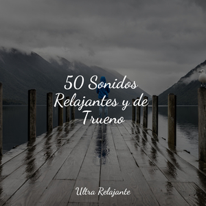 Relajaciones Con Viento Madera