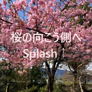 桜の向こう側へ