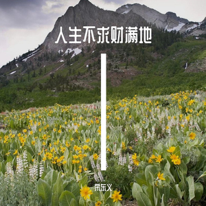 有过多少不眠的夜晚