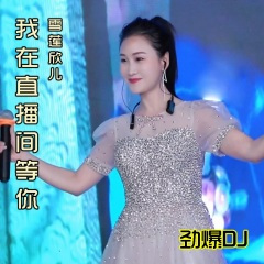 我在直播间等你 (DJ版)