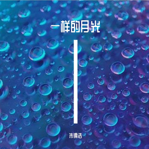 一样的月光