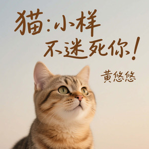 猫：小样不迷死你