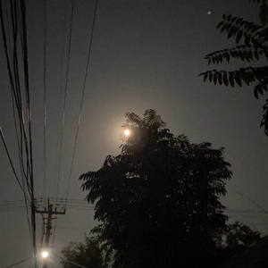 丫头（翻自 王童语）