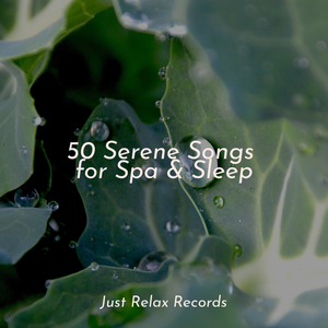 Twilight's Lamenting Flames