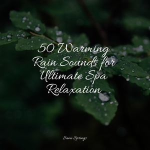 Pond, Splashing Water, Pebbles