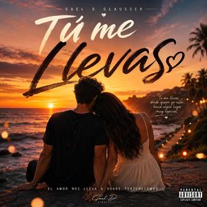 Tu Me Llevas