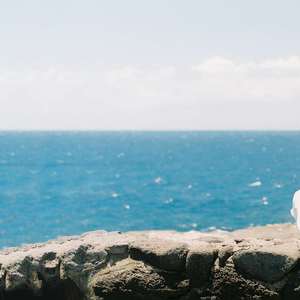 你笑起来真好看