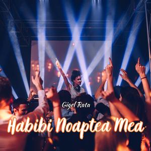 Habibi Noaptea Mea