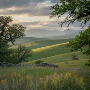 바다로 갈 수 있다면