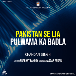 Pakistan Se Lia Pulwama Ka Badla