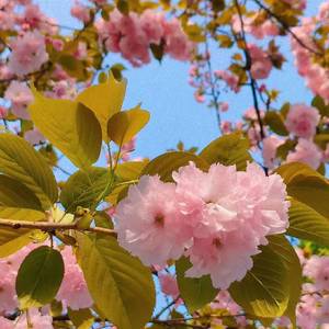 都占据了我整个世界的失眠