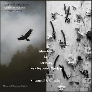 Khwabon Ke Parindey & Nenje Yezhu Mashup (feat. Ay Peterheavens & Suresh Beck)