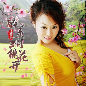 醉美三月桃花开 (DJ彭锐版)