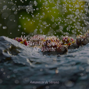 Cielos Melancólicos en Ascenso