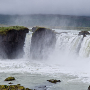 Beest altijd geweest