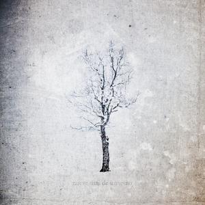 El Transcurrir De Las Horas