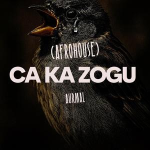 Ca Ka Zogu (Afrohouse)