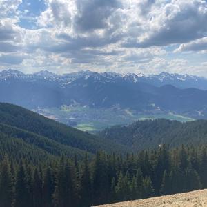 The Devouring Light (Experimental Version)