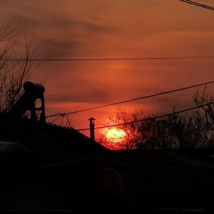 我要（片段）（翻自 野生三十）