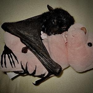 youareme (feat. keemu)