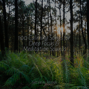 Kaleidoscope Daydream