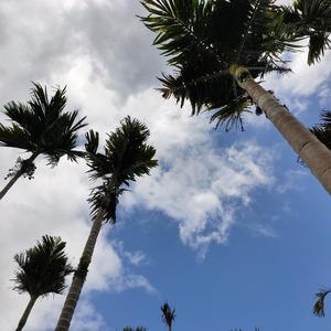 幕后工作者(Prod by YXT)