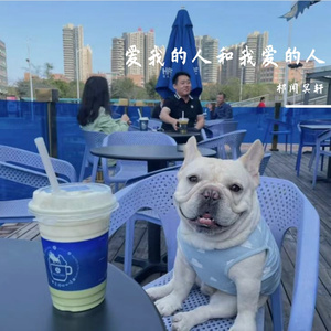 祁闻冥轩-护花使者(DJ版)（祁闻冥轩 remix）