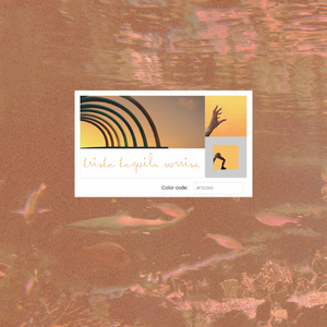 belgica metro station (feat. Helios Capelletti & Scat Cat)