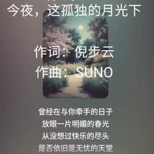 今夜，这孤独的月光下