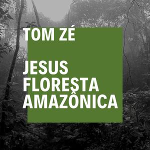 Jesus Floresta Amazônica