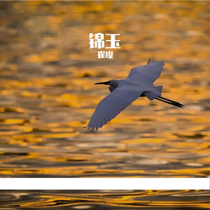 柜锅预日