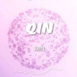 情歌 chill boombap 轻松 nafla听了直接freestyle起来 “QIN”