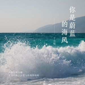 你是蔚蓝的海风