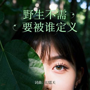 野生不需要被谁定义 伴奏